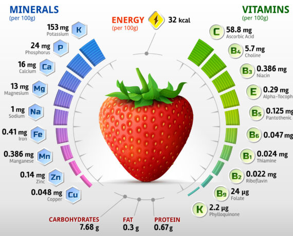 Infographics about nutrients in strawberry fruit. Qualitative vector illustration for strawberry, vitamins, fruits, health food, nutrients, diet, etc. It has transparency, blending modes, gradients
